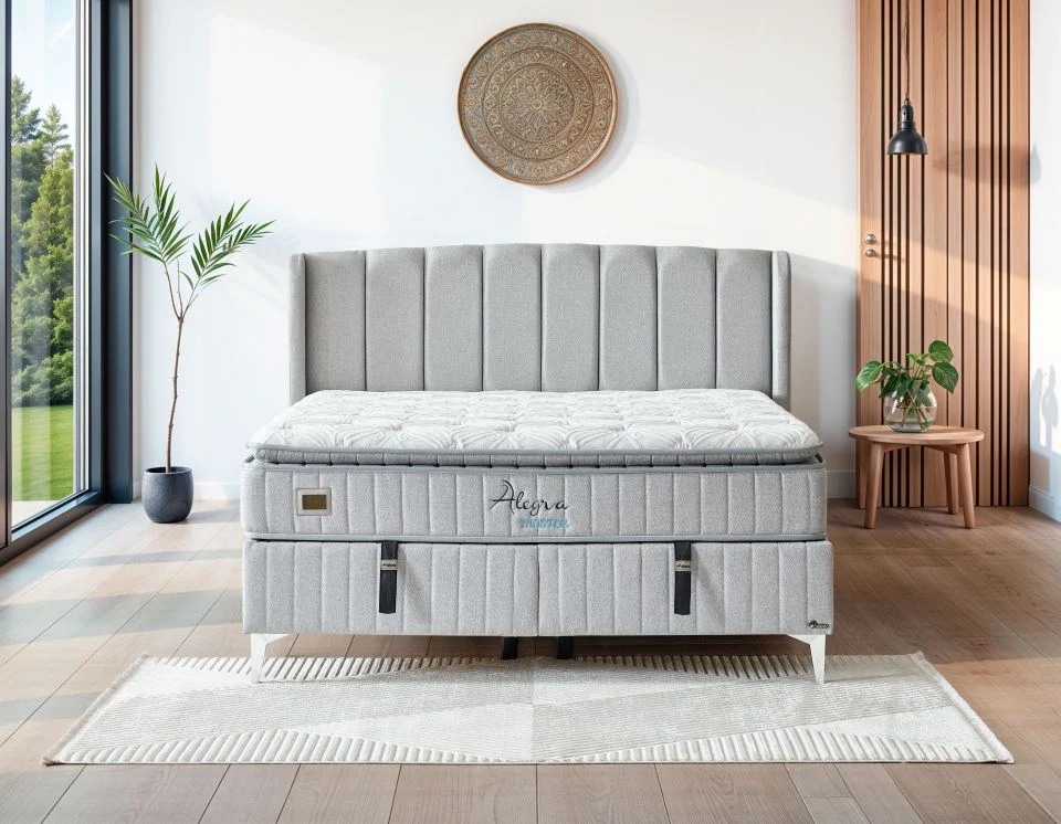 1-min_min Alegra Master Gri Uyku Seti - Görsel 1